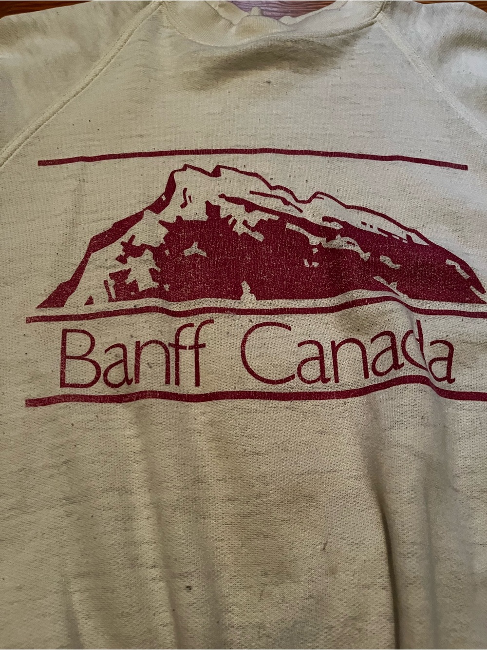 Vintage Banff Crewneck - Picture 2 of 3